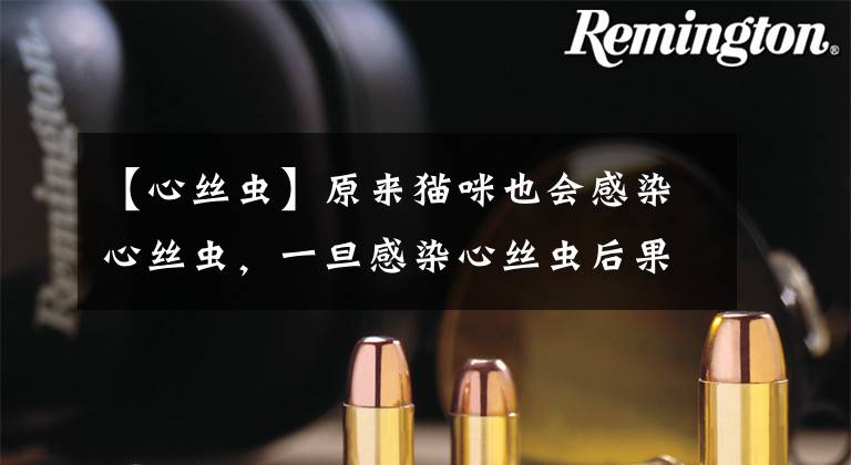 【心丝虫】原来猫咪也会感染心丝虫,一旦感染心丝虫后果比狗狗还严重呢!