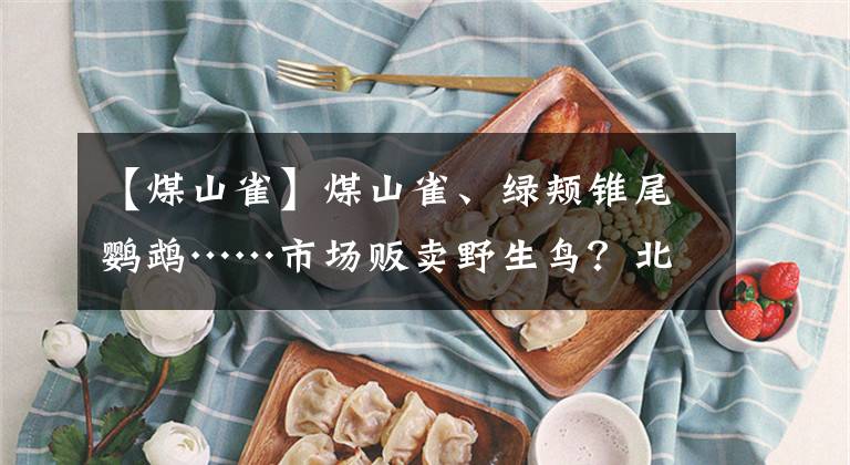 【煤山雀】煤山雀、绿颊锥尾鹦鹉……市场贩卖野生鸟？北京森林公安出手了