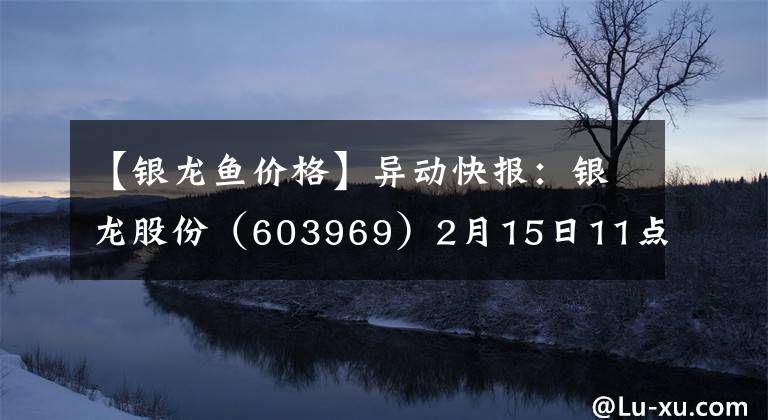 【银龙鱼价格】异动快报：银龙股份（603969）2月15日11点9分封涨停板
