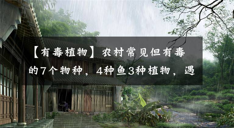 【有毒植物】农村常见但有毒的7个物种，4种鱼3种植物，遇到要小心