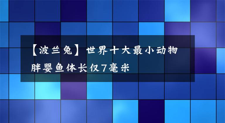 【波兰兔】世界十大最小动物 胖婴鱼体长仅7毫米
