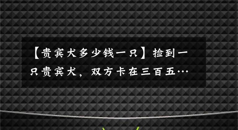 【贵宾犬多少钱一只】捡到一只贵宾犬,双方卡在三百五……狗主人:“我又没要她寄!”