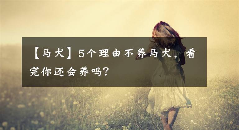 【马犬】5个理由不养马犬，看完你还会养吗？
