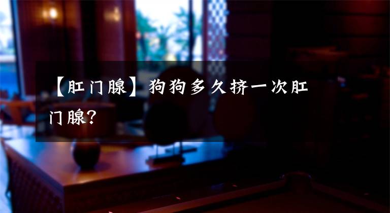 【肛门腺】狗狗多久挤一次肛门腺?