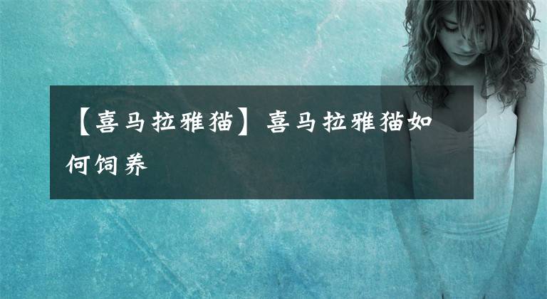 【喜马拉雅猫】喜马拉雅猫如何饲养