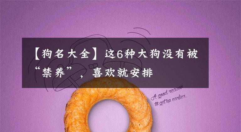【狗名大全】这6种大狗没有被“禁养”，喜欢就安排