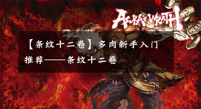 【条纹十二卷】多肉新手入门推荐——条纹十二卷