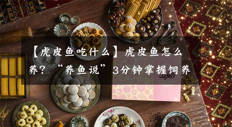 【虎皮鱼吃什么】虎皮鱼怎么养？“养鱼说”3分钟掌握饲养繁殖+治病技巧