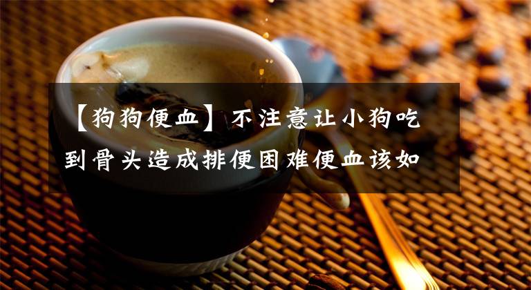 【狗狗便血】不注意让小狗吃到骨头造成排便困难便血该如何解决？