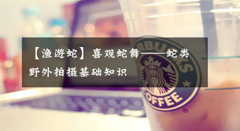 【渔游蛇】喜观蛇舞——蛇类野外拍摄基础知识
