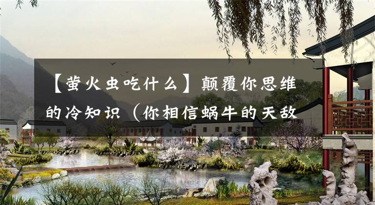 【萤火虫吃什么】颠覆你思维的冷知识（你相信蜗牛的天敌是萤火虫吗？）