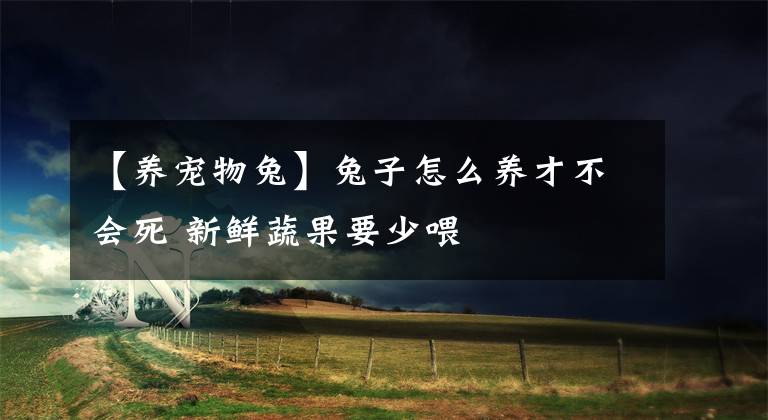 【养宠物兔】兔子怎么养才不会死 新鲜蔬果要少喂