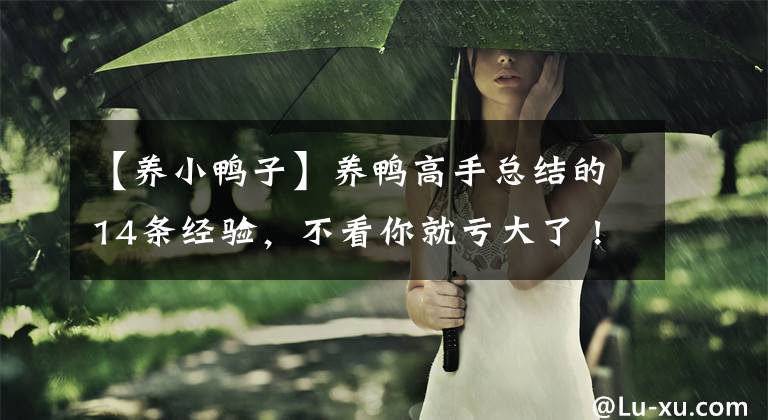 【养小鸭子】养鸭高手总结的14条经验，不看你就亏大了 !