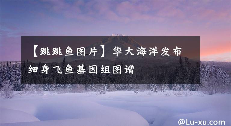 【跳跳鱼图片】华大海洋发布细身飞鱼基因组图谱