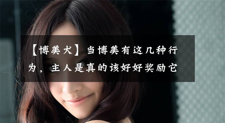 【博美犬】当博美有这几种行为,主人是真的该好好奖励它