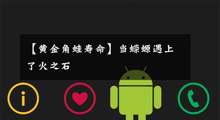 【黄金角蛙寿命】当蝾螈遇上了火之石