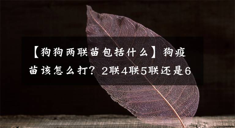 【狗狗两联苗包括什么】狗疫苗该怎么打?2联4联5联还是6联?