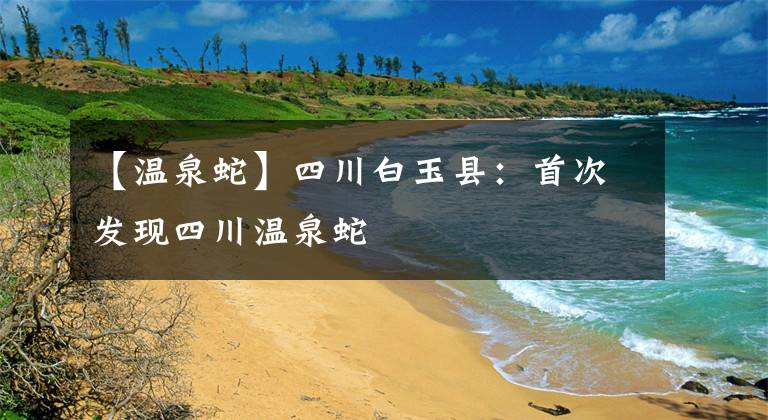【温泉蛇】四川白玉县：首次发现四川温泉蛇