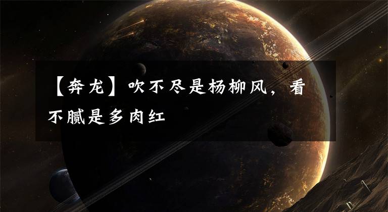 【奔龙】吹不尽是杨柳风,看不腻是多肉红