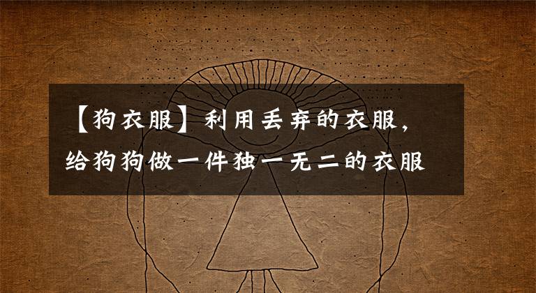 【狗衣服】利用丢弃的衣服,给狗狗做一件独一无二的衣服!