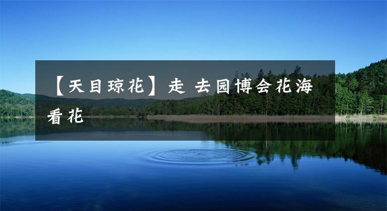 【天目琼花】走 去园博会花海看花