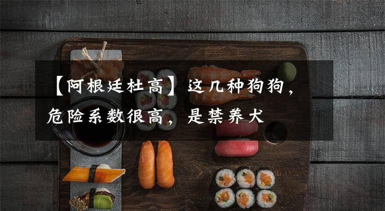 【阿根廷杜高】这几种狗狗，危险系数很高，是禁养犬