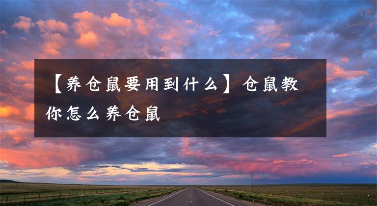 【养仓鼠要用到什么】仓鼠教你怎么养仓鼠