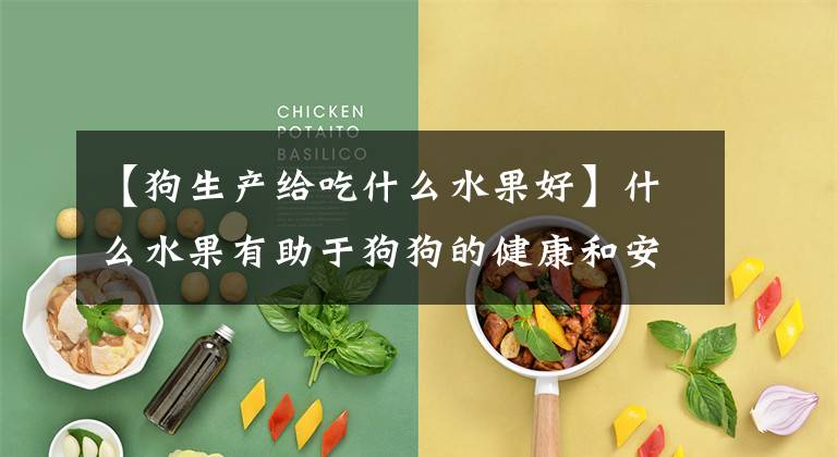 【狗生产给吃什么水果好】什么水果有助于狗狗的健康和安全？