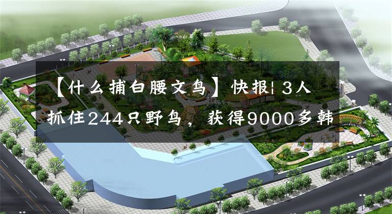【什么捕白腰文鸟】快报| 3人抓住244只野鸟，获得9000多韩元的刑罚赔偿金，道歉