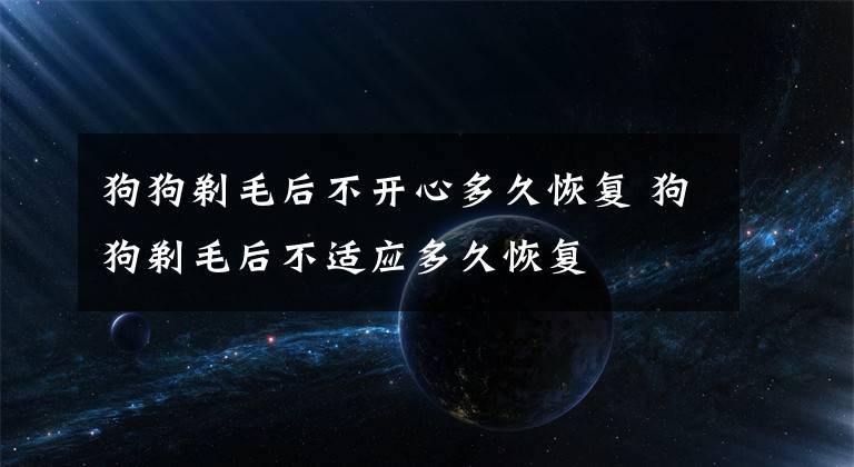 狗狗剃毛后不开心多久恢复 狗狗剃毛后不适应多久恢复
