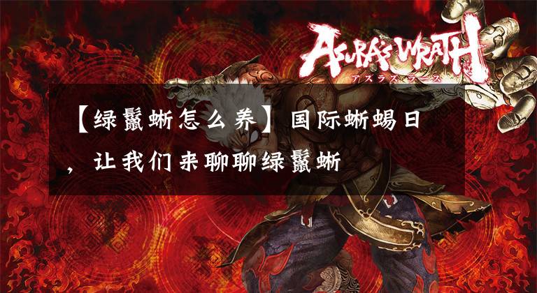 【绿鬣蜥怎么养】国际蜥蜴日，让我们来聊聊绿鬣蜥