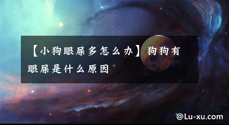 【小狗眼屎多怎么办】狗狗有眼屎是什么原因