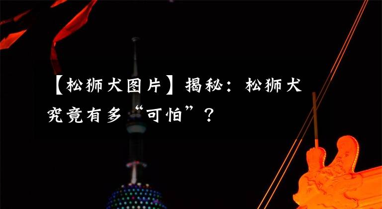 【松狮犬图片】揭秘:松狮犬究竟有多“可怕”?