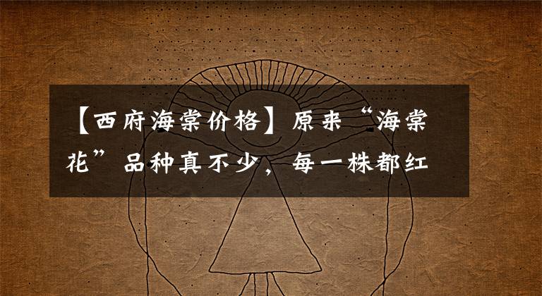 【西府海棠价格】原来“海棠花”品种真不少，每一株都红花挂枝头，认全的人不多！