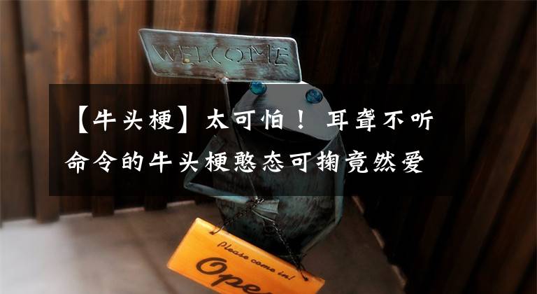 【牛头梗】太可怕！ 耳聋不听命令的牛头梗憨态可掬竟然爱梦游咬人