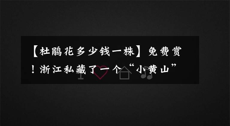 【杜鹃花多少钱一株】免费赏!浙江私藏了一个“小黄山”,灯笼杜鹃、云锦杜鹃、猴头杜鹃竞相绽放,入夏美出新高度!