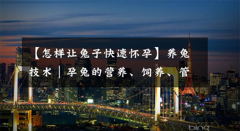 【怎样让兔子快速怀孕】养兔技术｜孕兔的营养、饲养、管理及待产要求