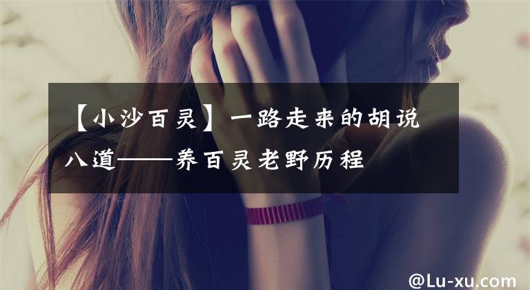 【小沙百灵】一路走来的胡说八道——养百灵老野历程