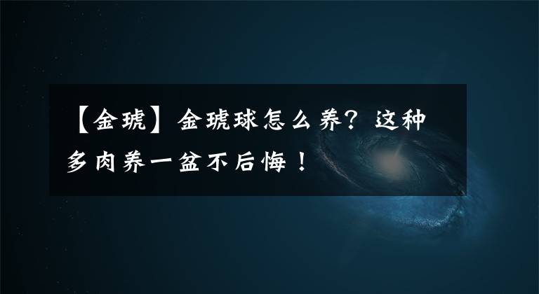 【金琥】金琥球怎么养?这种多肉养一盆不后悔!