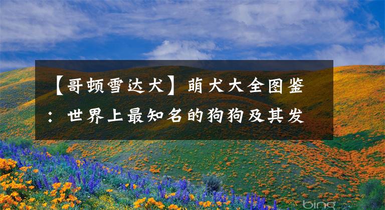 【哥顿雪达犬】萌犬大全图鉴：世界上最知名的狗狗及其发源地～超可爱～