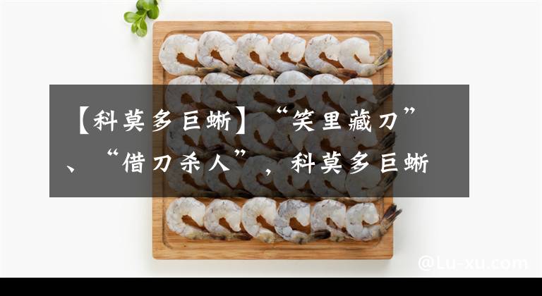 【科莫多巨蜥】“笑里藏刀”、“借刀杀人”，科莫多巨蜥绝对颠覆你的想象