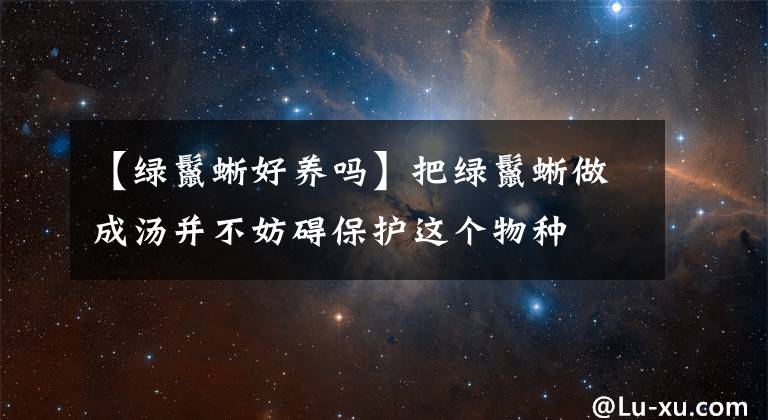 【绿鬣蜥好养吗】把绿鬣蜥做成汤并不妨碍保护这个物种