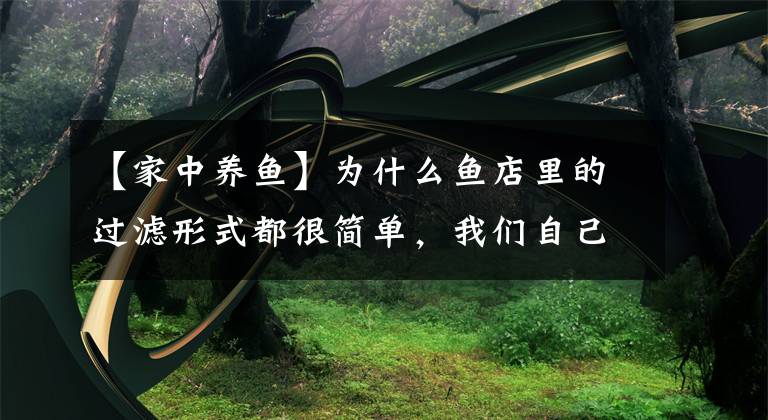 【家中养鱼】为什么鱼店里的过滤形式都很简单,我们自己养鱼,过滤就很复杂?