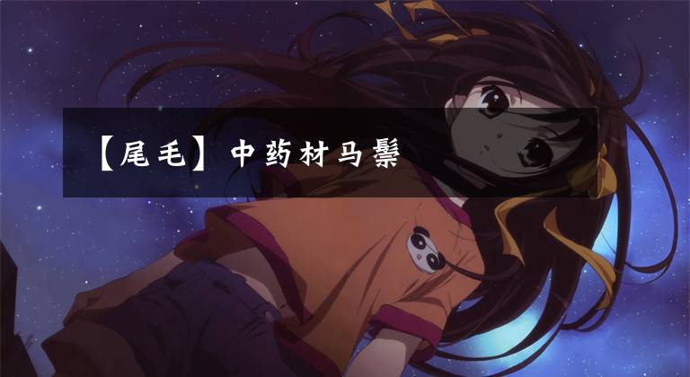 【尾毛】中药材马鬃