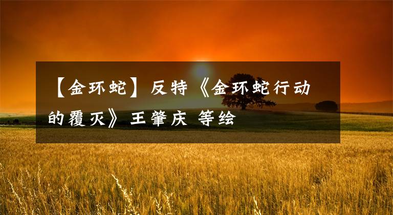 【金环蛇】反特《金环蛇行动的覆灭》王肇庆 等绘