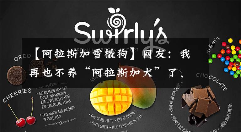 【阿拉斯加雪橇狗】网友：我再也不养“阿拉斯加犬”了，原因有5个