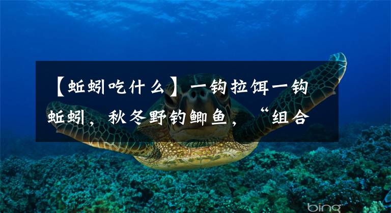 【蚯蚓吃什么】一钩拉饵一钩蚯蚓,秋冬野钓鲫鱼,“组合式”饵料屡创佳绩