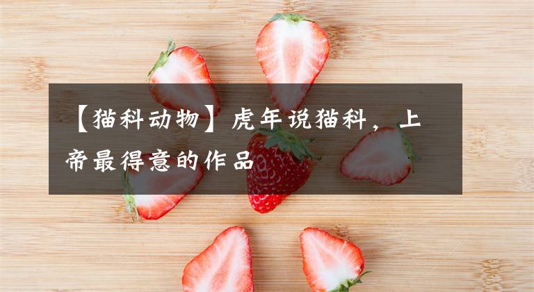 【猫科动物】虎年说猫科,上帝最得意的作品