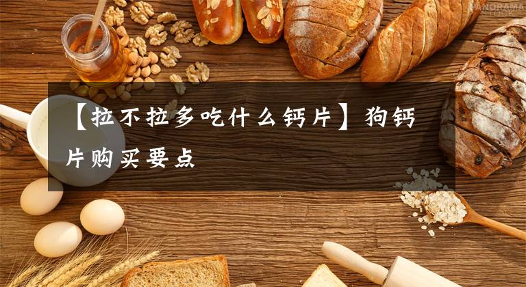 【拉不拉多吃什么钙片】狗钙片购买要点