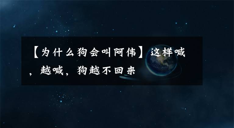 【为什么狗会叫阿伟】这样喊,越喊,狗越不回来